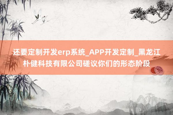 还要定制开发erp系统_APP开发定制_黑龙江朴健科技有限公司磋议你们的形态阶段