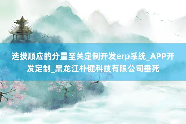 选拔顺应的分量至关定制开发erp系统_APP开发定制_黑龙江朴健科技有限公司垂死