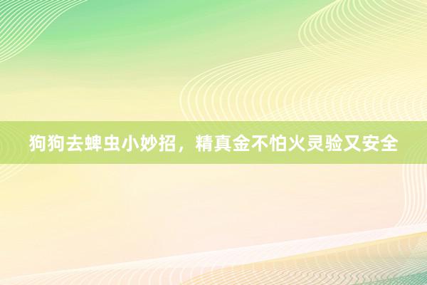 狗狗去蜱虫小妙招，精真金不怕火灵验又安全
